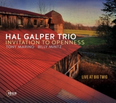 Galper Hal -Trio- - Invitation To Openness: Live At Big Twig