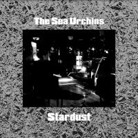 Sea Urchins - Stardust