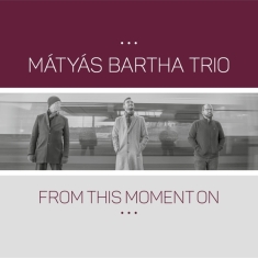 Matyas Bartha Trio - From This Moment On