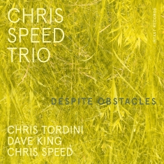 Chris Speed Trio - Despite Obstacles