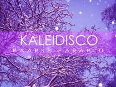 Paarse paraplu - Kaleidisco