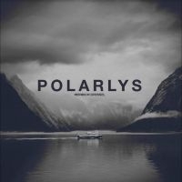 Dressel Heinrich - Polarlys