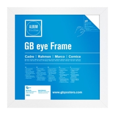 Vinyl Frame - White (31.5 X 31.5Cm)