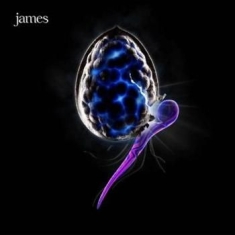 James - Night Before