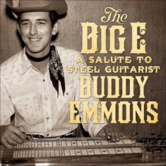 Various Artists - Big E:Salute To The Steel Guitarist