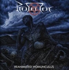 Protector - Reanimated Homunculus