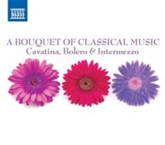 Various Artists - A Bouquet Of Classical Music