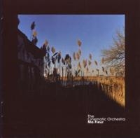 The Cinematic Orchestra - Ma Fleur