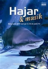 Various Artists - Hajar & Musik